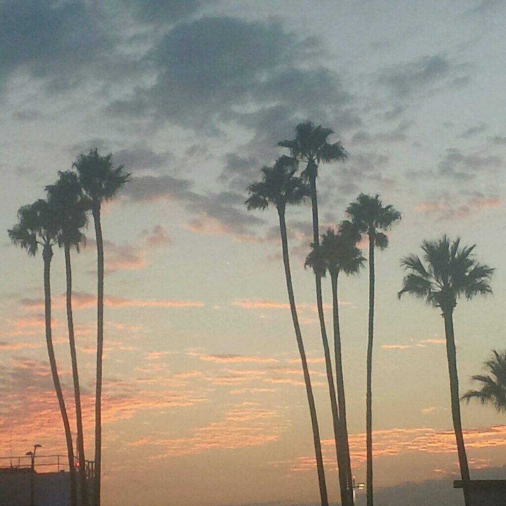 Meet your Posher, Allie